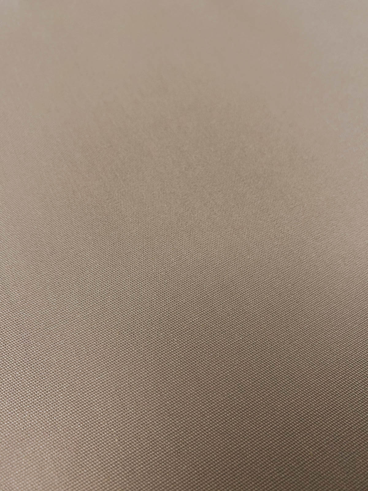 Poplin Beige 1